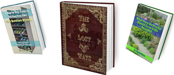 The Lost Ways book