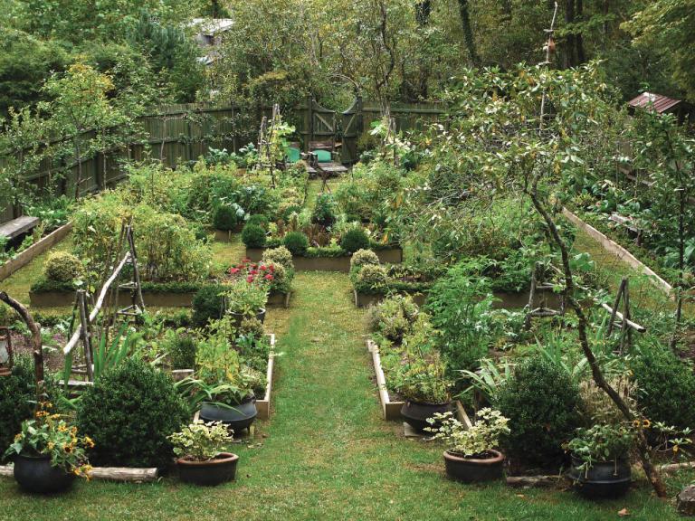 highcote-kitchen-garden-recreate-the-kitchen-gardens-of-the-past