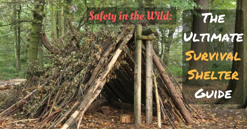 Safety in the Wild: The Ultimate Survival Shelter Guide – Prepper Universe